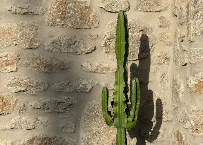 Anna * Elia (Mykonos)